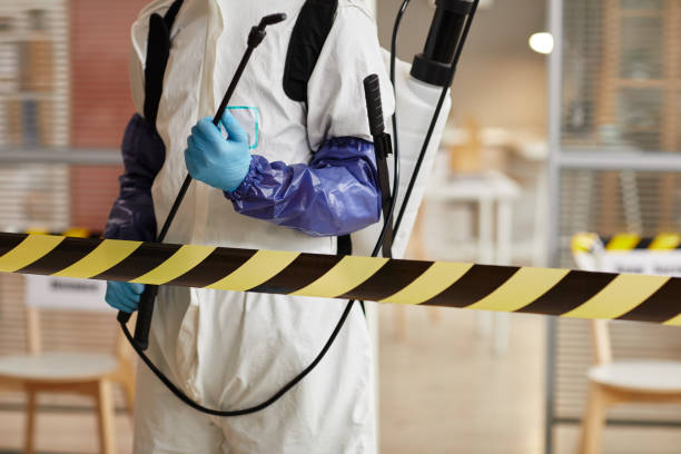 Professional Sewage Cleanup technician working in Riverton, UT